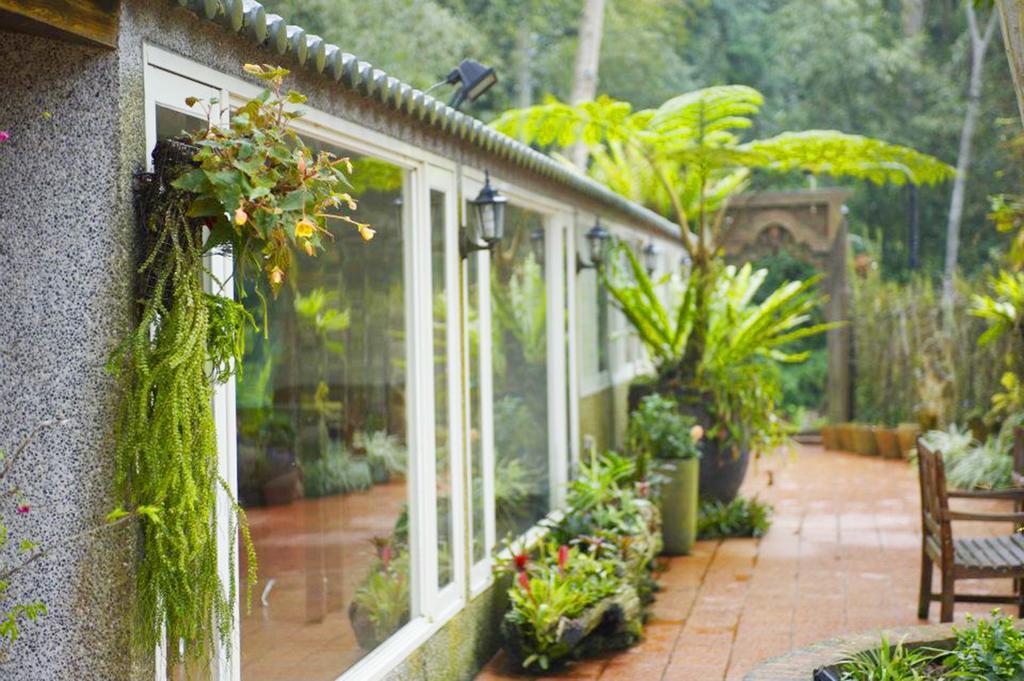 Green Shine B&B Наньчжуан Экстерьер фото